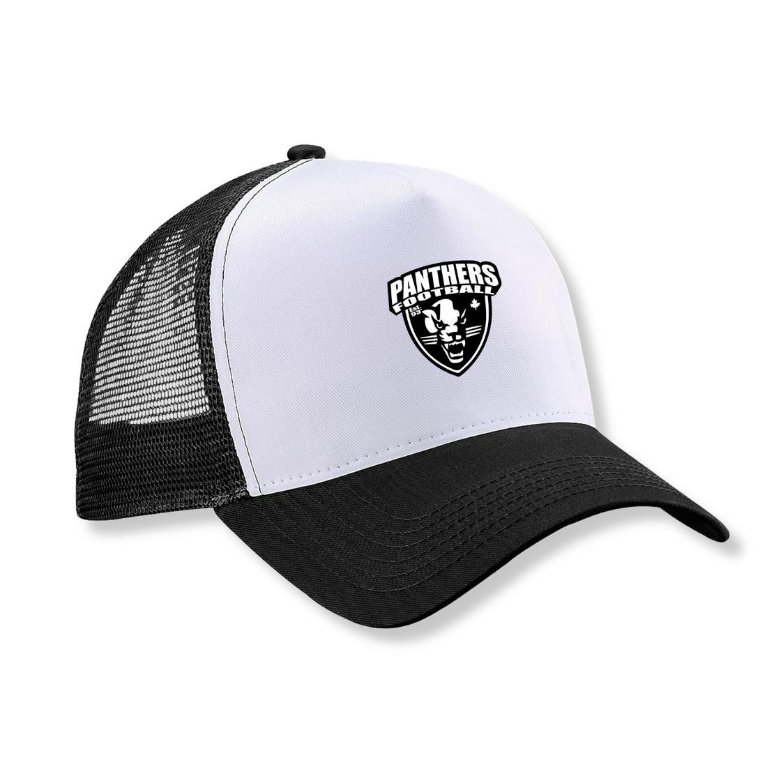 2024 Panthers Varsity Cap